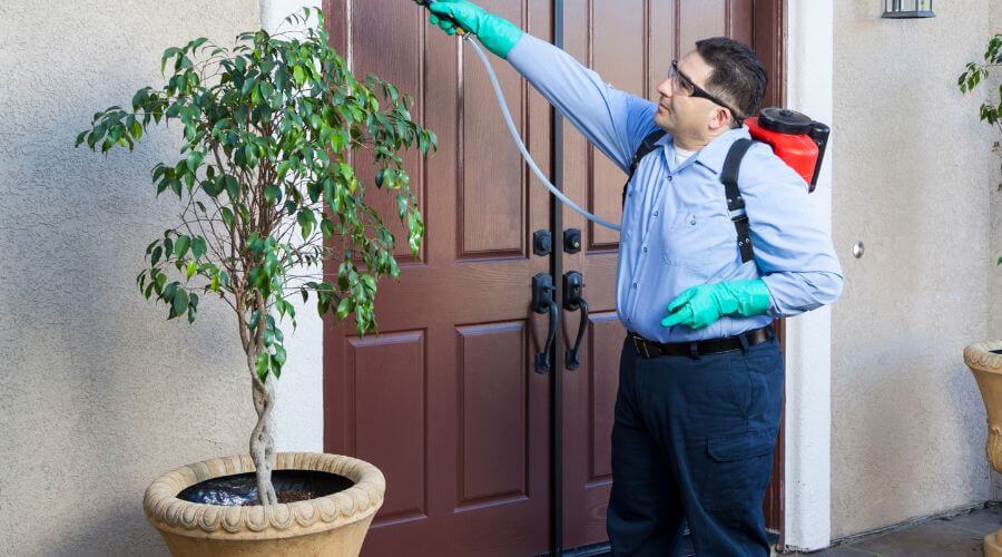 Why choose Bat Exclusion Kirkland for bat exclusion in Kirkland